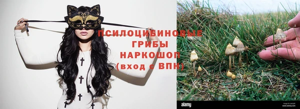 твердый Нефтекумск