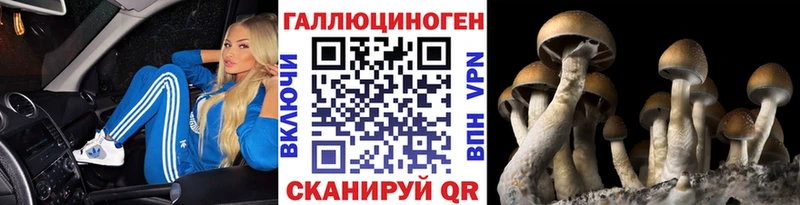 блэк спрут вход Невельск Галлюциногенные грибы Magic Shrooms