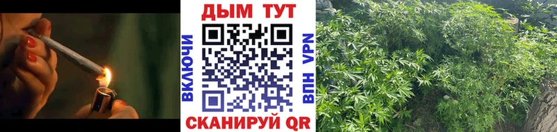 где найти   Невельск  Бошки марихуана Ganja 